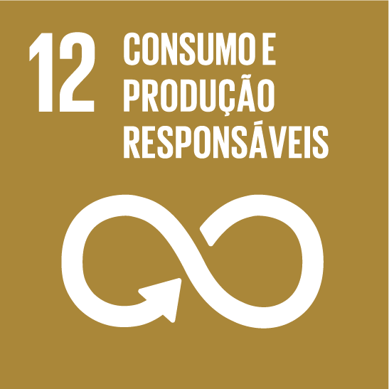 ODS 12