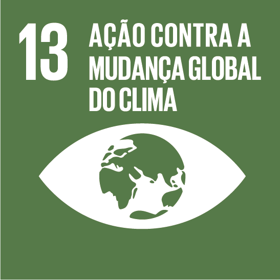 ODS 13